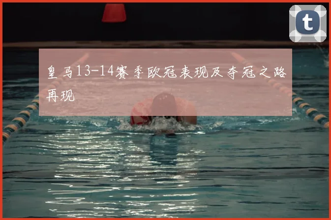 皇马13-14赛季欧冠表现及夺冠之路再现