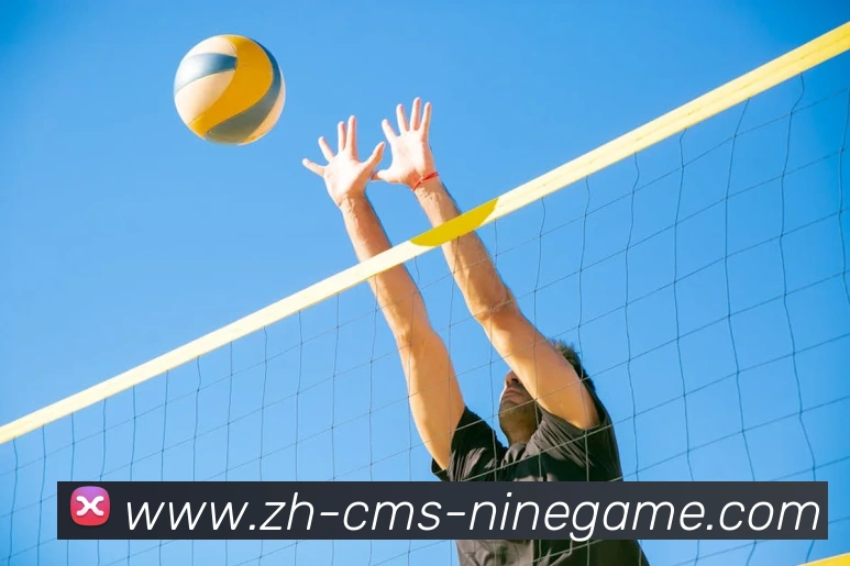 J9九游平台生态图